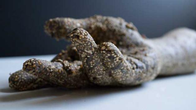 Marco Chiandetti, 'The hand of the artist in bird seed', 2015, bird seed, 40 x 10 x 9 cm. Courtesy the artist.  © Photograph: Marco Chiandetti